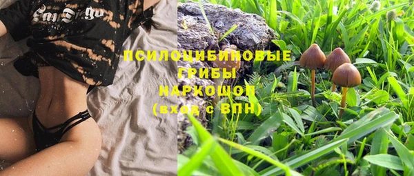 винт Гусь-Хрустальный