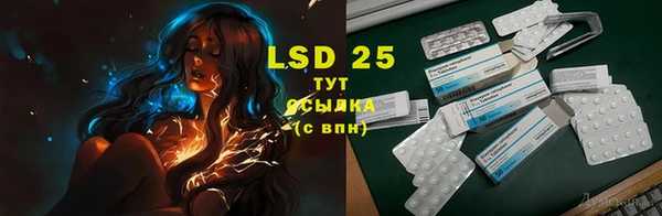 дживик Тавда