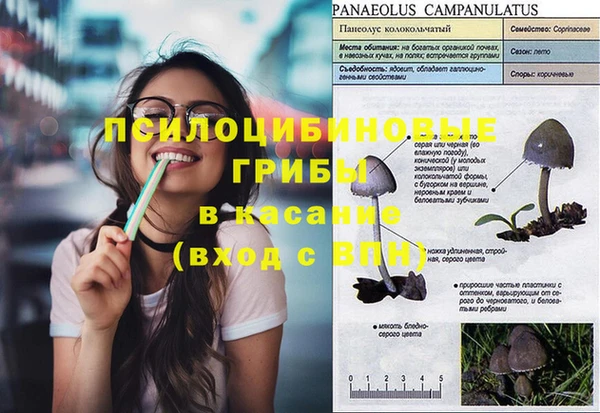 дживик Тавда