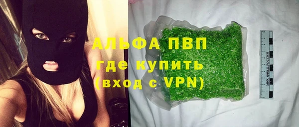 ГАЛЛЮЦИНОГЕННЫЕ ГРИБЫ Сясьстрой